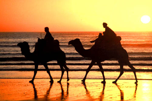 Marokko der Strand in Agadir