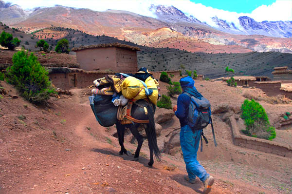 Maultier Trekking Marokko